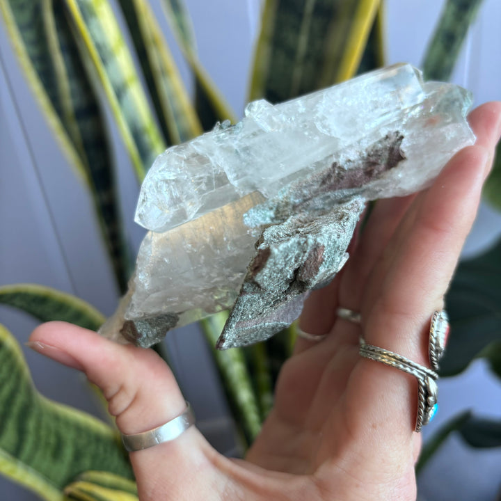 'AAA' Grade Lemurian Cluster LEM7-4