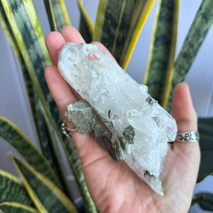 'AAA' Grade Lemurian Cluster LEM7-4