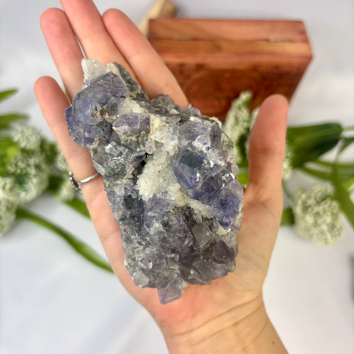 Chinese Fluorite Cluster -FL1-15