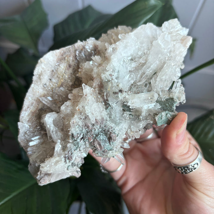 'AAA' Grade Lemurian Cluster LEM7-8