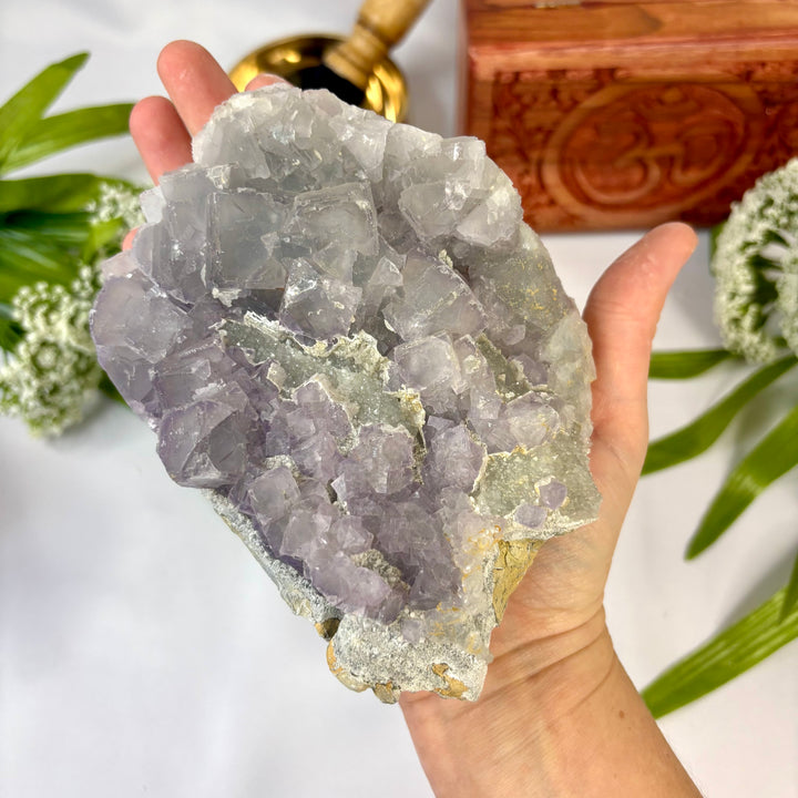 Chinese Fluorite Cluster -FL1-28
