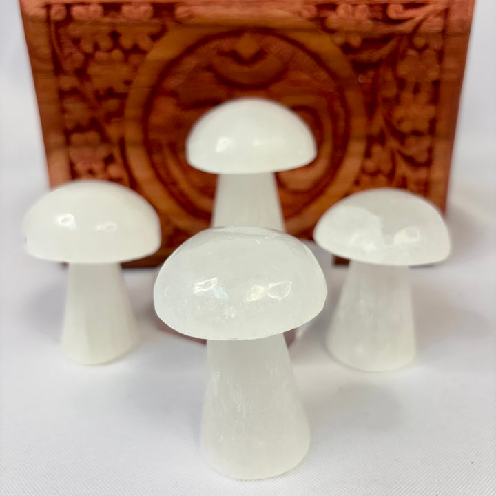 Selenite Mushroom JC95