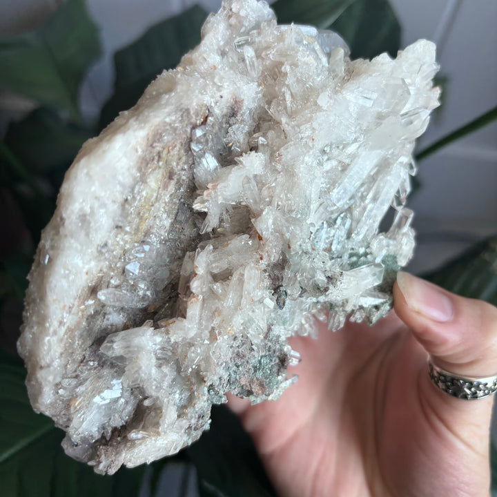 'AAA' Grade Lemurian Cluster LEM7-8