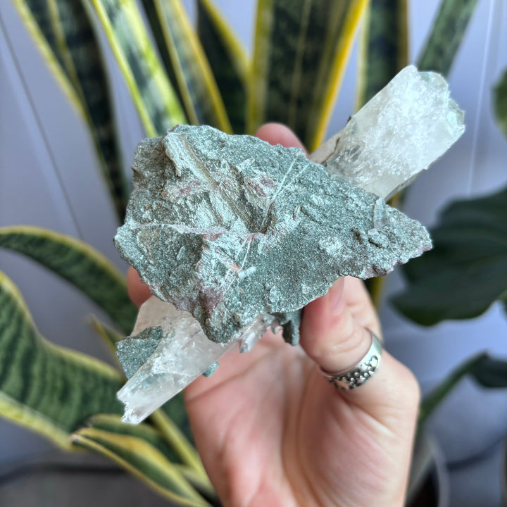 'AAA' Grade Lemurian Cluster LEM7-4