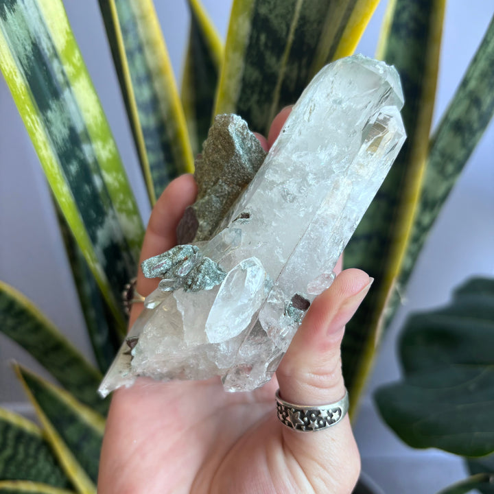 'AAA' Grade Lemurian Cluster LEM7-4