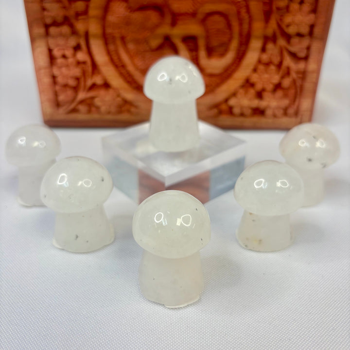 Clear Quartz Mushroom- MS25002
