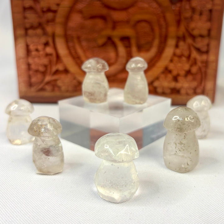Crystal Mushroom JC94