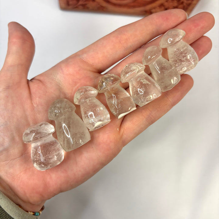 Crystal Mushroom JC94
