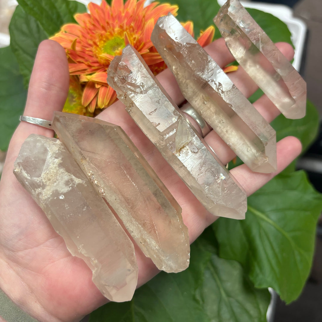 Smoky Lemurian w/ Phantoms Point-LEM6-1