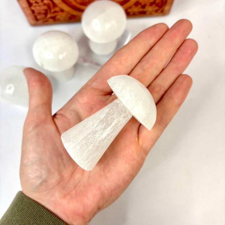 Selenite Mushroom JC95