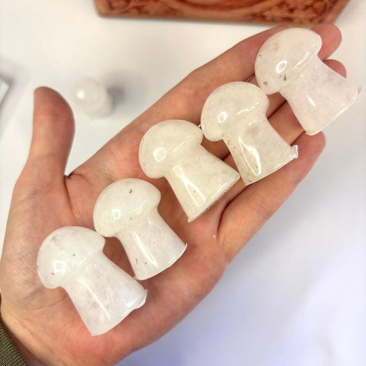 Clear Quartz Mushroom- MS25002