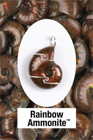 Rainbow Ammonite Wrapped Pendant