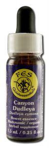 FES Flower Essence (1/4 oz), Canyon Dudley