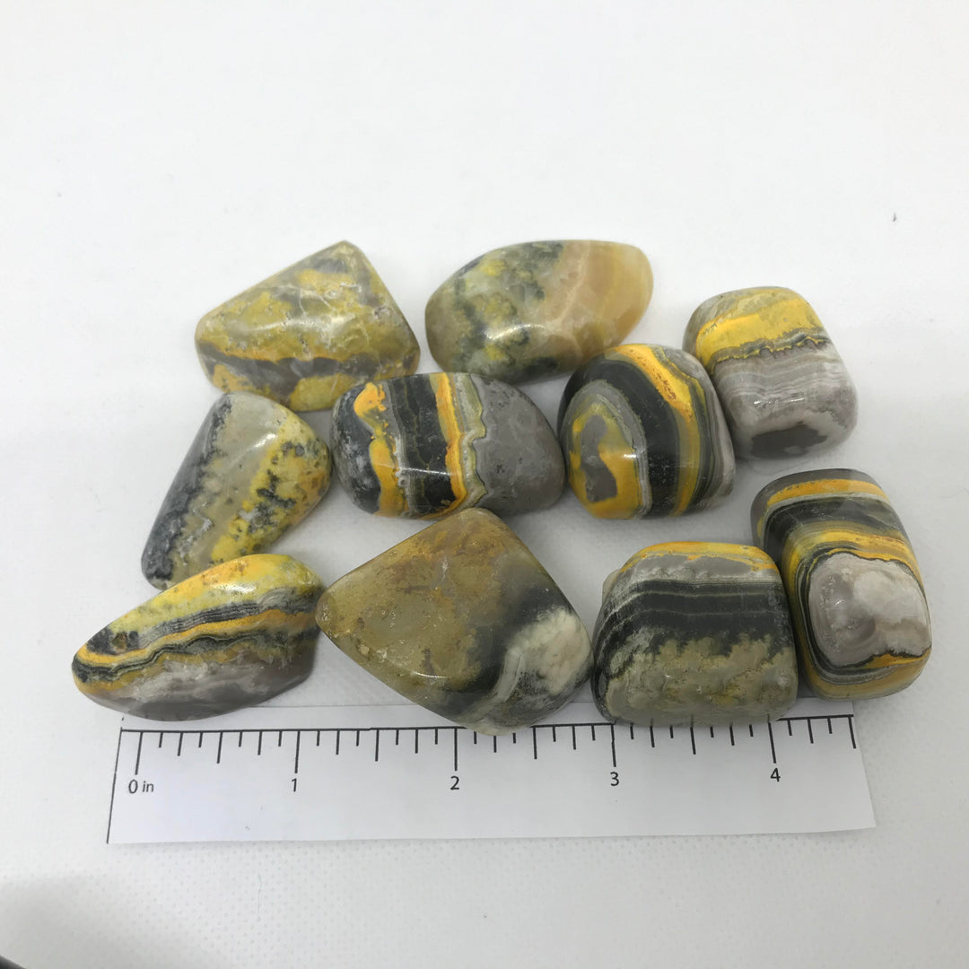 Jasper (Bumblebee) Polished-J202