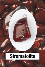 Stromatolite Wrapped Pendant