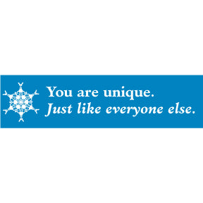 Unique Like Everyone Bumper Sticker (C-3)