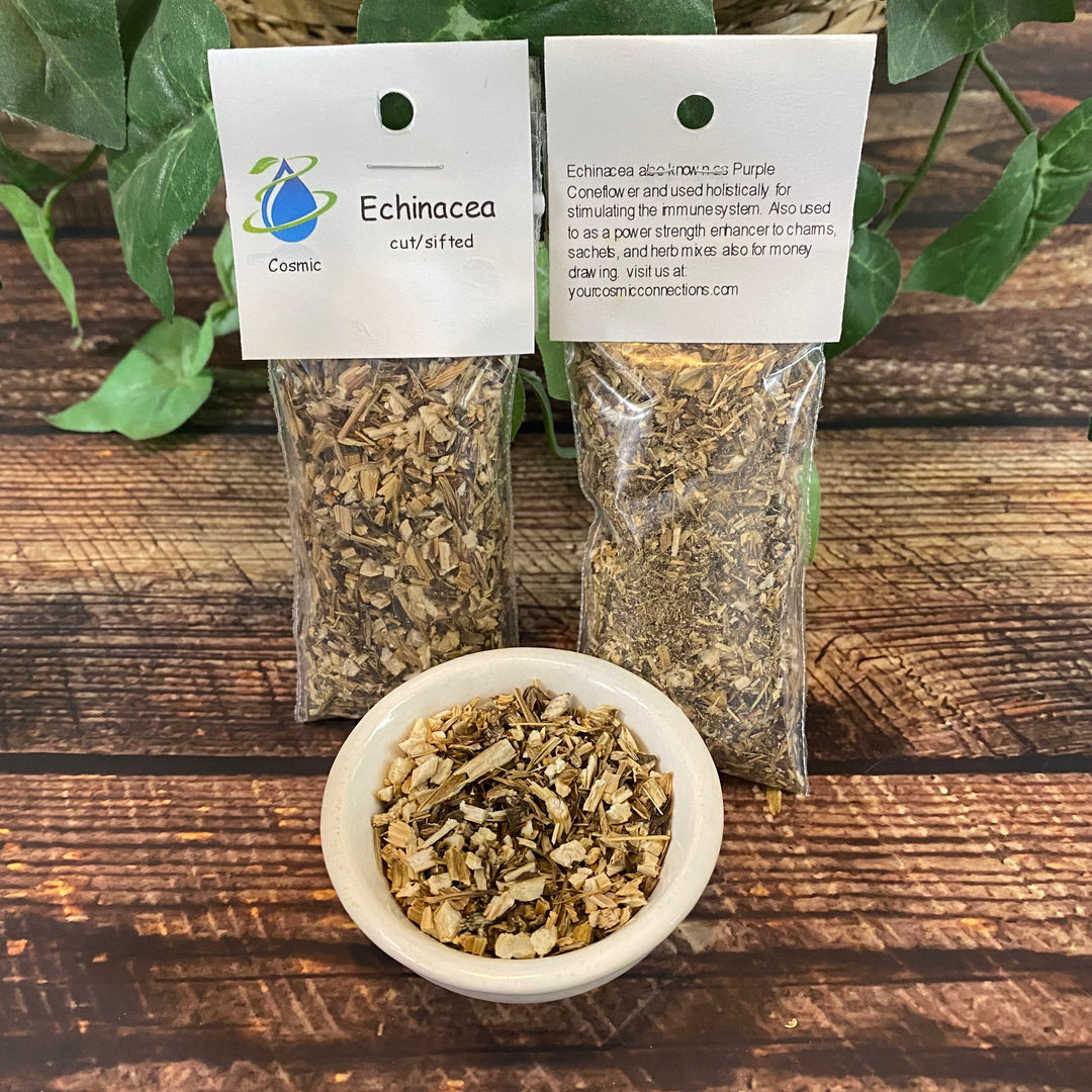 Clearance Echinacea