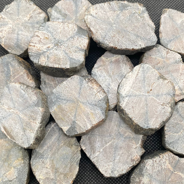 Chiastolite Tab-Rough- C812