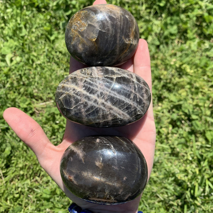 Black Moonstone Palm Stone-PS16-4