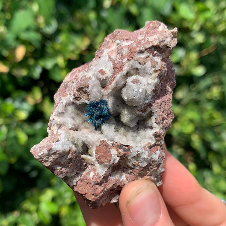 Cavansite on Matrix CAV1-22