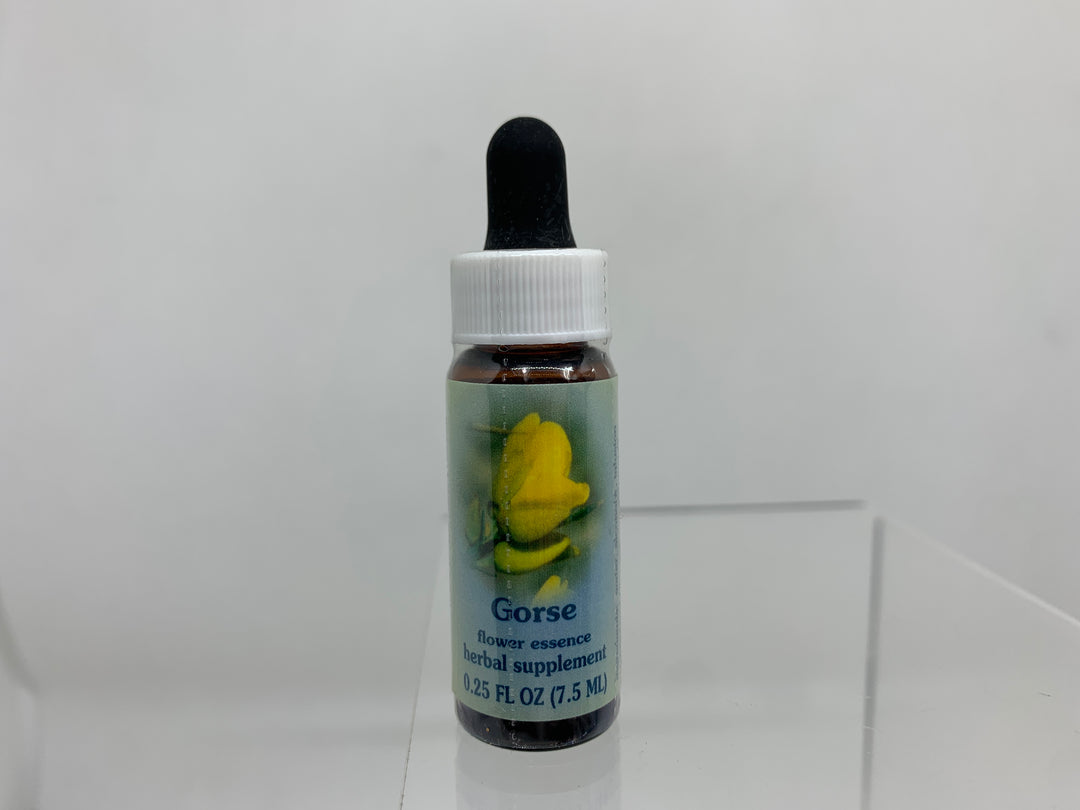 FES Flower Essence (1/4 oz), Gorse