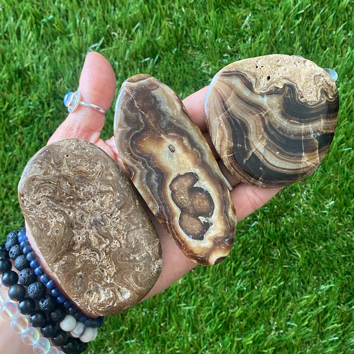 Calcite Chocolate Palm Stone PS44-3