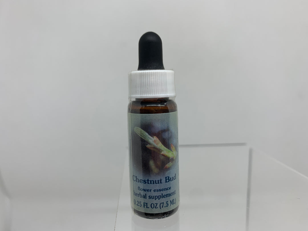 FES Flower Essence (1/4 oz), Chestnut Bud