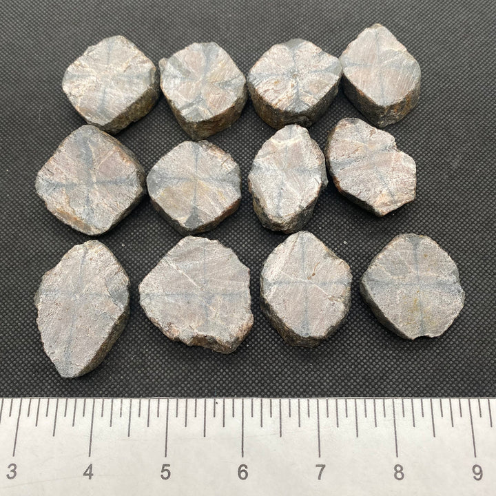 Chiastolite Tab-Rough- C812