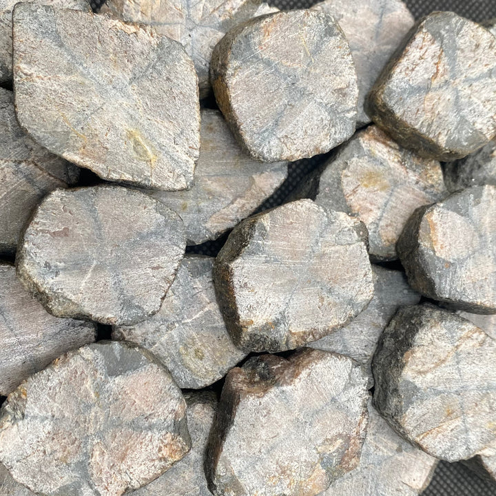 Chiastolite Tab-Rough- C811