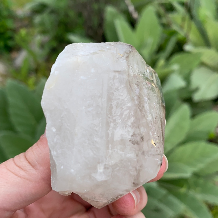 Smoky Elestial Quartz Cluster-ELE2-12