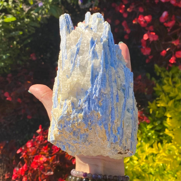 Blue Kyanite Specimen-BKY2-10