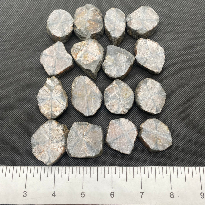 Chiastolite Tab-Rough- C811