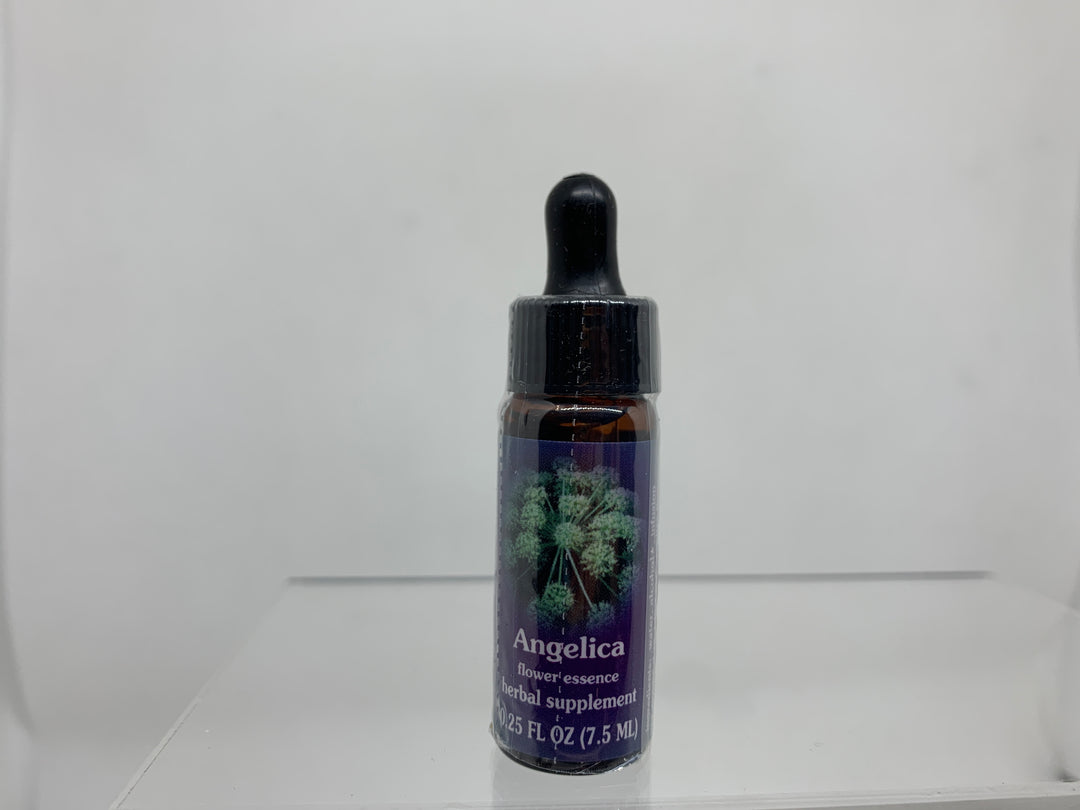 FES Flower Essence (1/4 oz), Angelica
