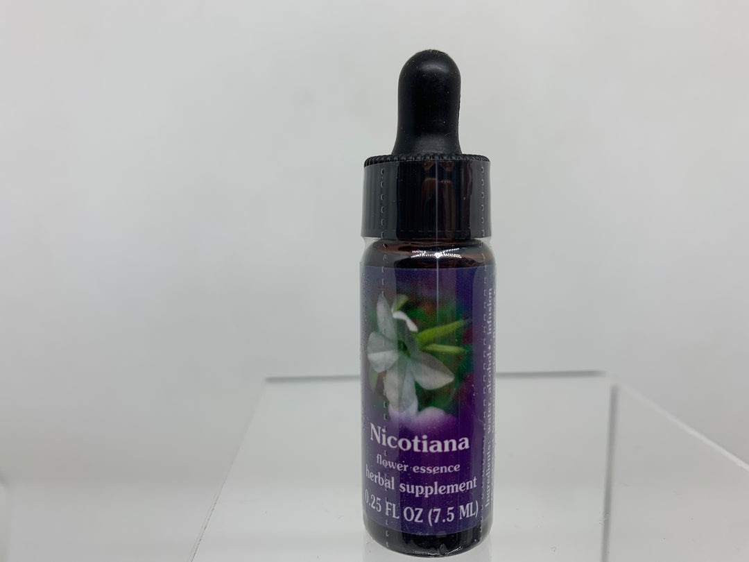 FES Flower Essence (1/4 oz), Nicotiana