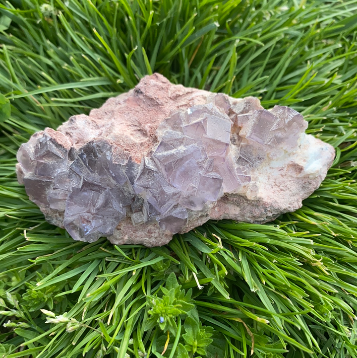 Fluorite Specimen-FLU1-6