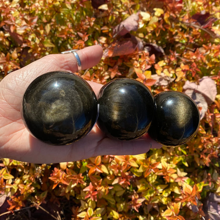 Goldsheen Obsidian Sphere SP14-5