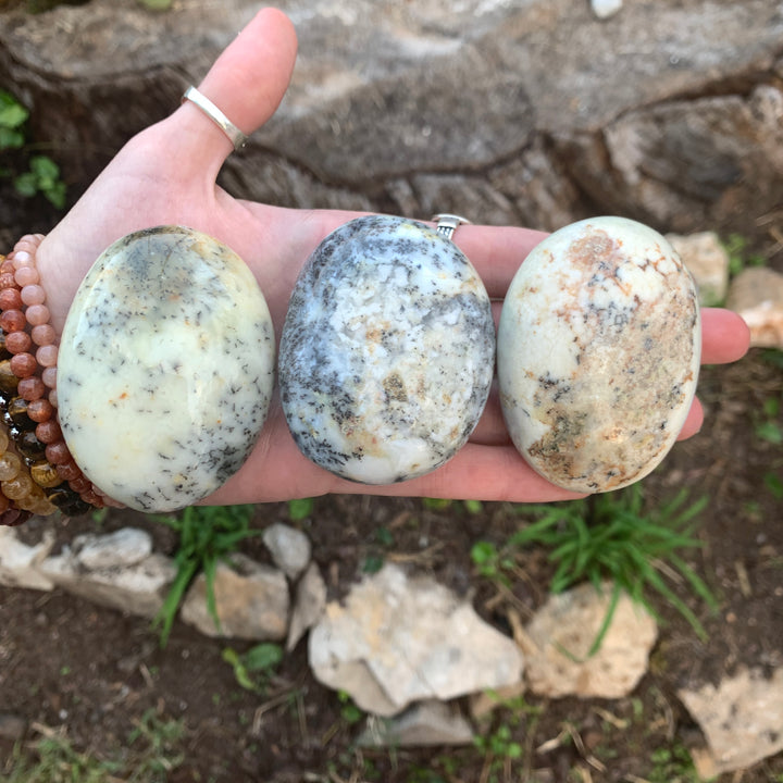 Dendrite Agate Palm Stone PS1-1