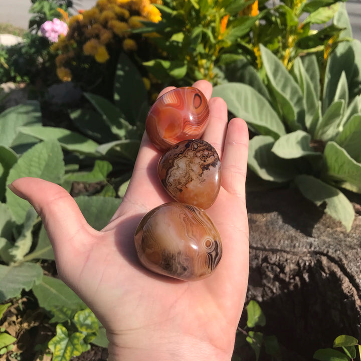 Red Sardonyx Palm Stone PS18-1