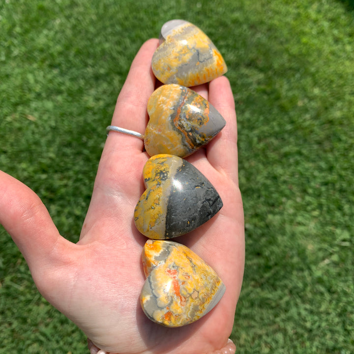 Bumblebee Jasper Heart HT37-1