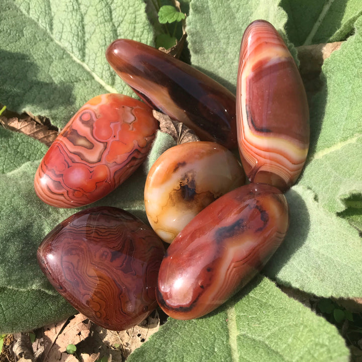 Red Sardonyx Palm Stone PS18-2