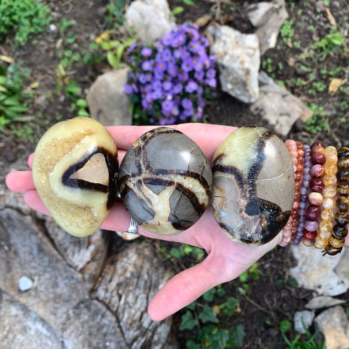 Septarian Palm Stone-PS13-3
