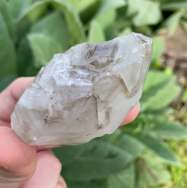 Smoky Elestial Quartz Cluster-ELE2-15