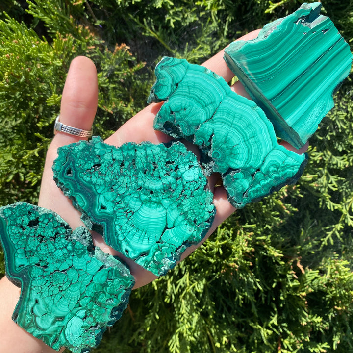Malchite Slice MAL2-7