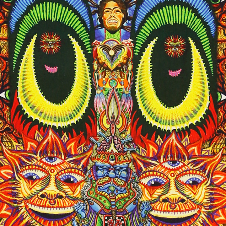 Skater Heady Art Print Tapestry 53"x85" (T32)