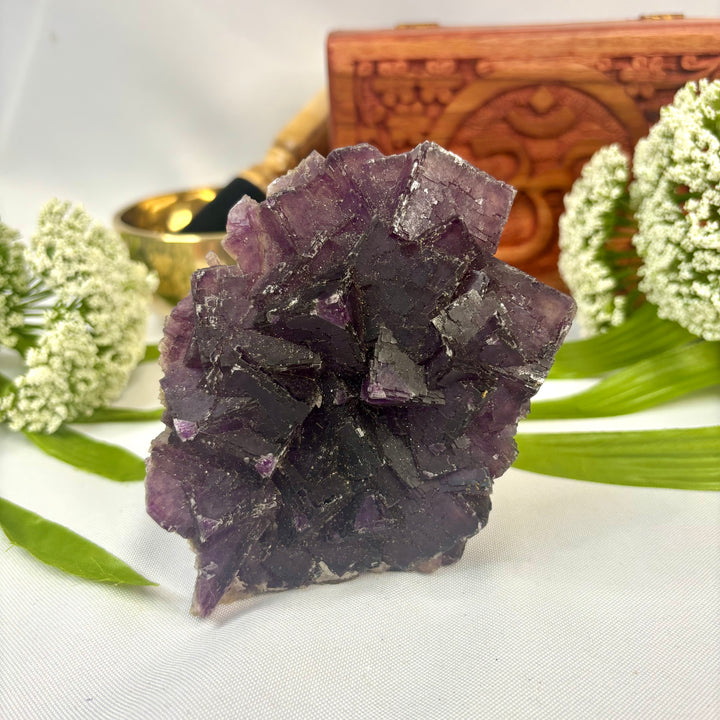 Chinese Fluorite Cluster -FL1-19