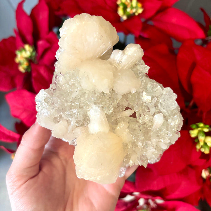 "AAA" Apophyllite Cluster APO4-12