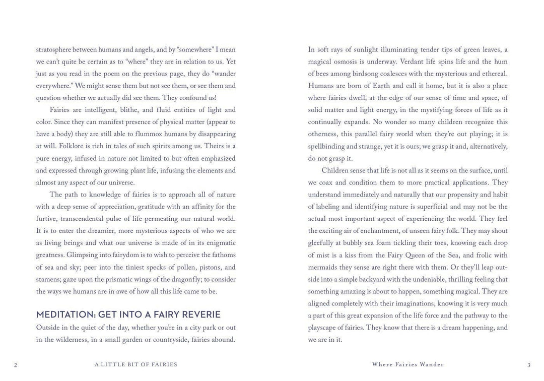 A Little Bit of Fairies by Elaine Clayton