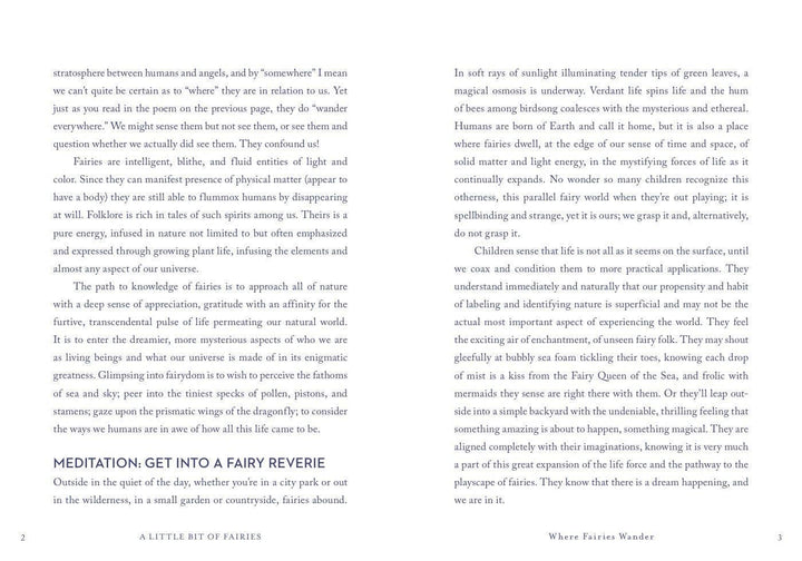 A Little Bit of Fairies by Elaine Clayton