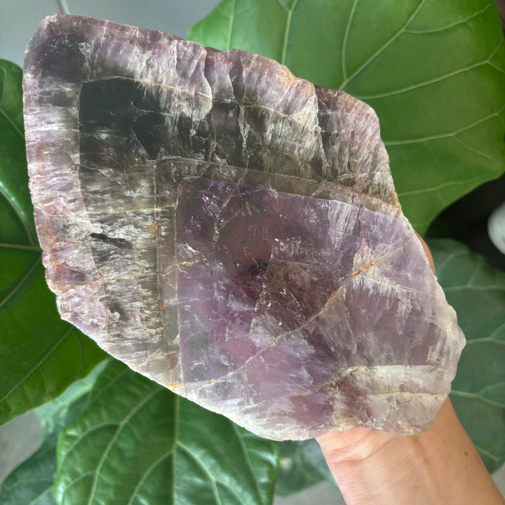 Auralite 23 Slice Specimen CGR1-4