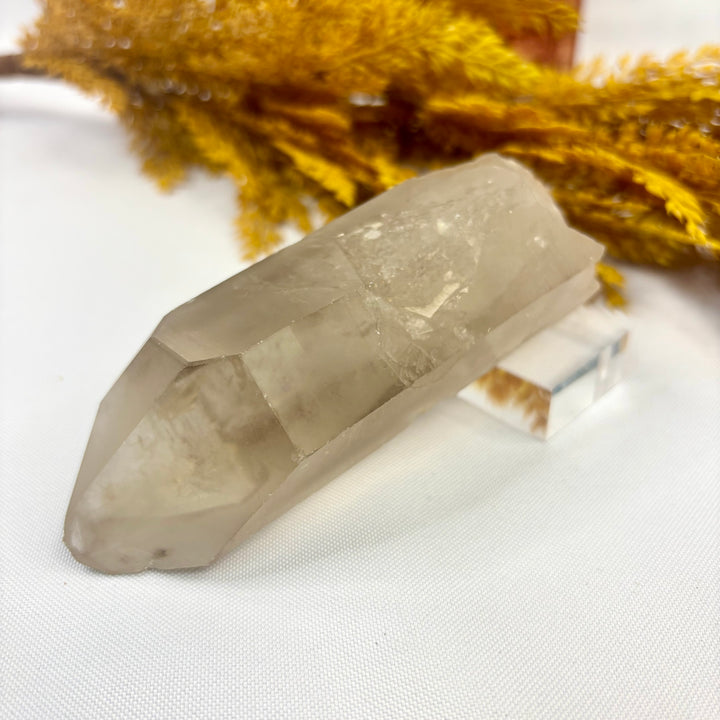 Smoky Lemurian Rough Point LEM1-13
